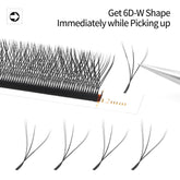 XIUSUZAKI 6D W Shape Eyelash Extensions Blister Premade Fans